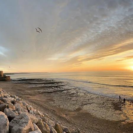 La Maison - - Vue Sur Et Jardin